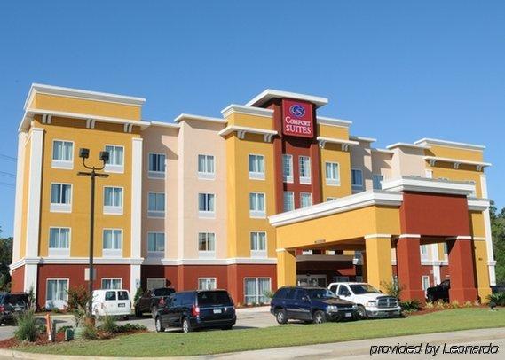 Comfort Suites Near Tanger Outlet Mall Gonzales Bagian luar foto