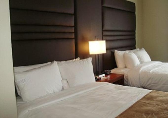 Comfort Suites Near Tanger Outlet Mall Gonzales Bagian luar foto